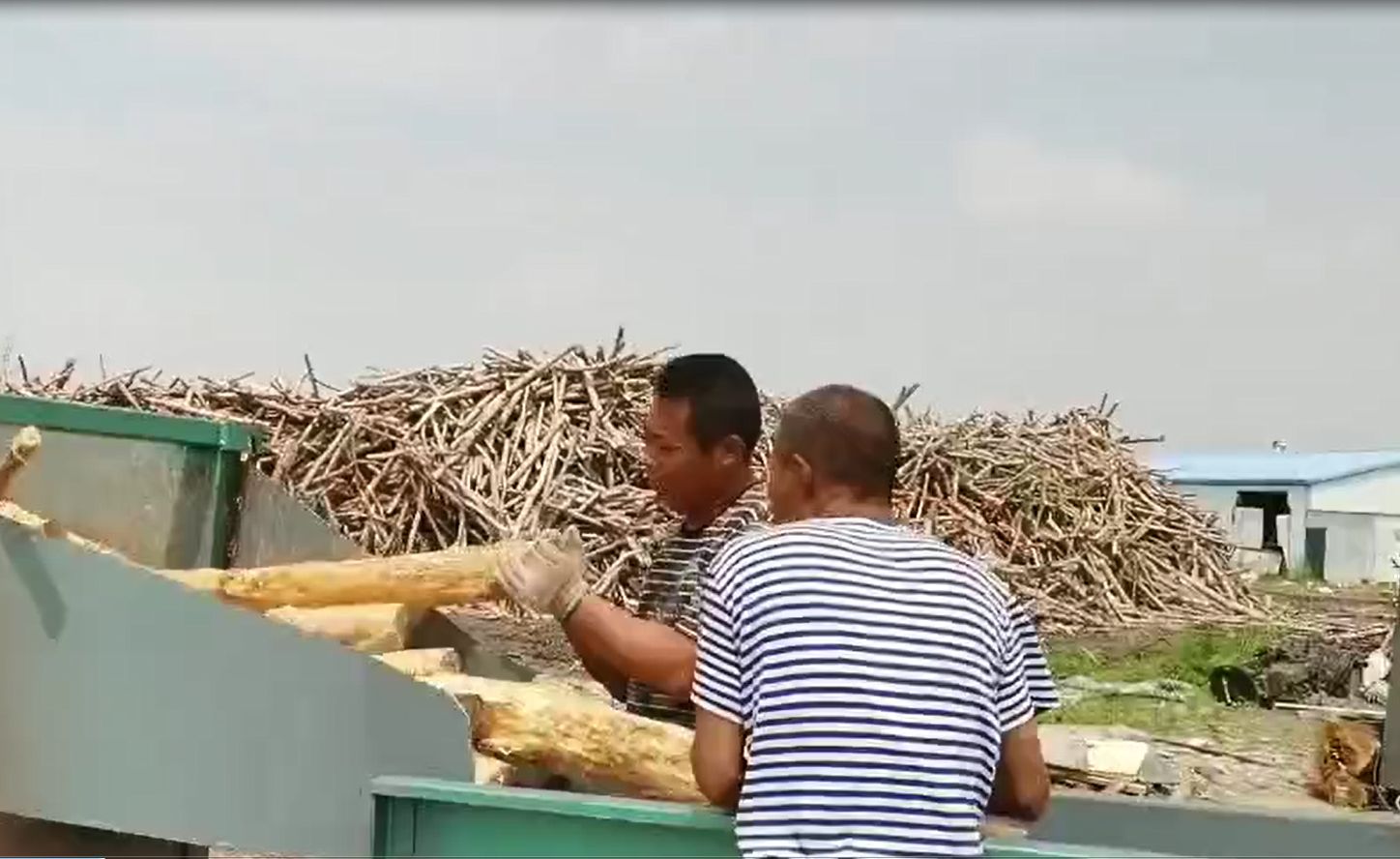 上海浆纸纸业的各类净片加工